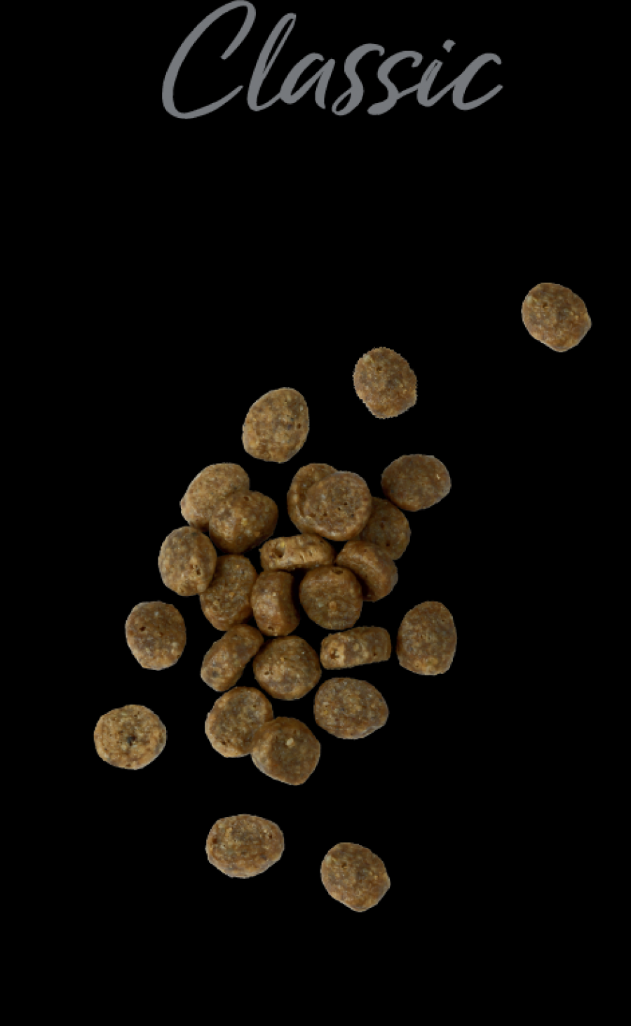 Chicken Soup Cat Chicken & Brown Rice 12#