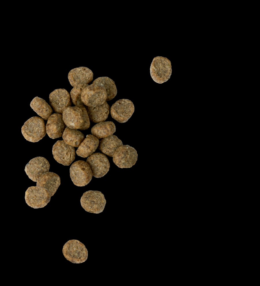 Chicken Soup Cat Weight & Mature Care Chicken & Brown Rice 4.5#