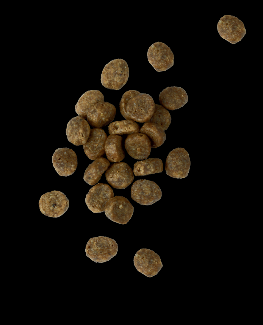 Chicken Soup Cat Grain Free Salmon & Legumes 4#