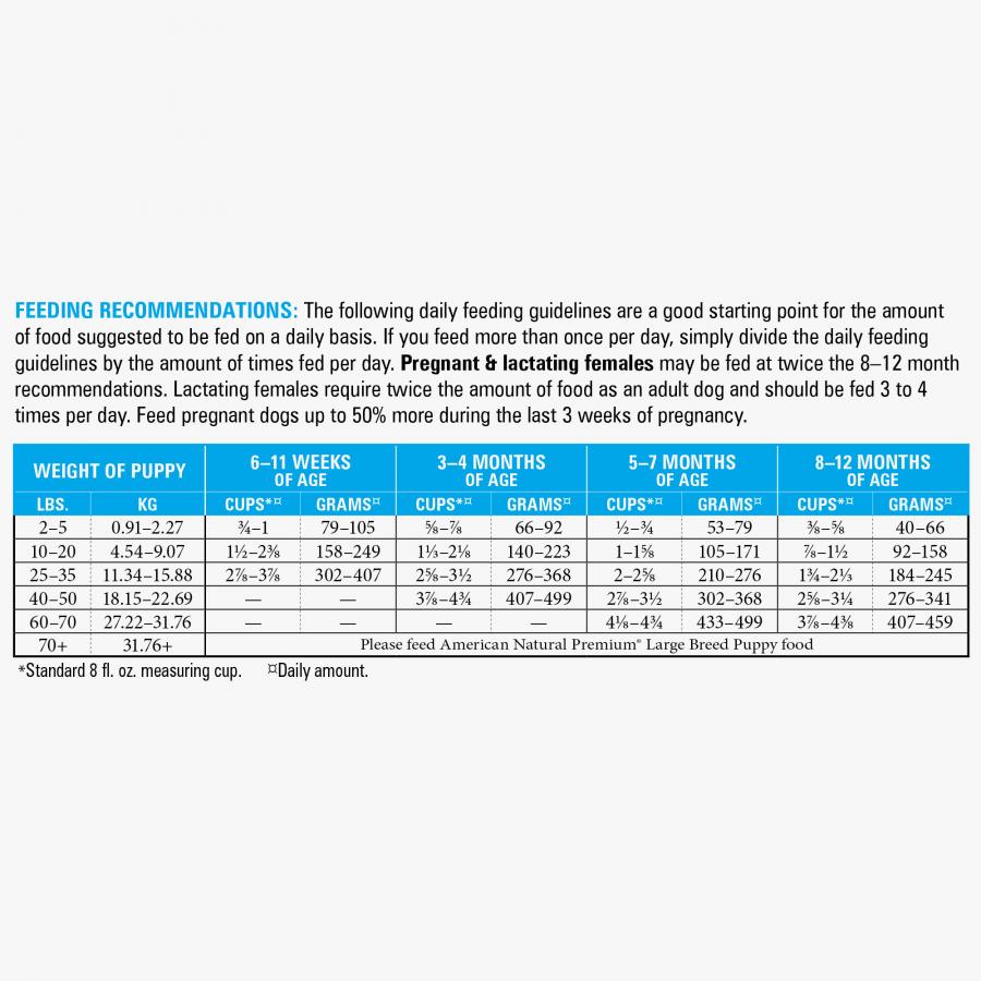 American Natural Premium Market Fresh Puppy 12#
