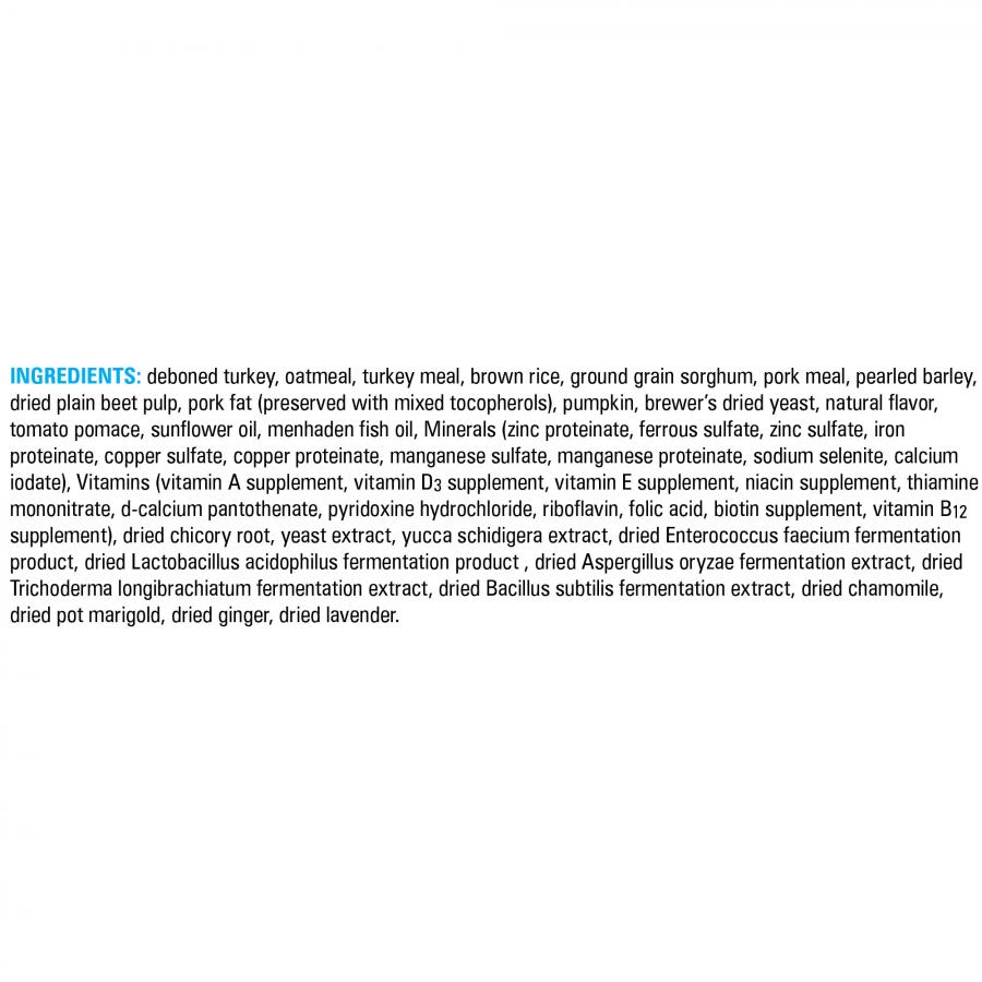 American Natural Premium Market Fresh Dog Turkey Pumpkin 4#